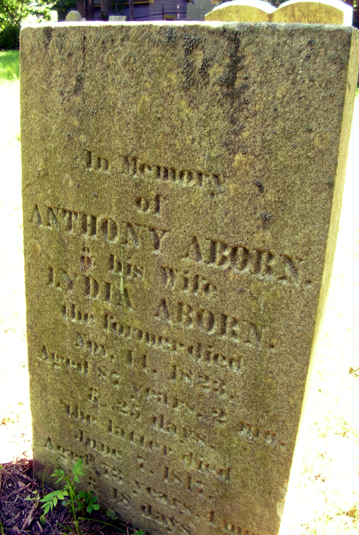 Martin aborn photo Martin aborn photo